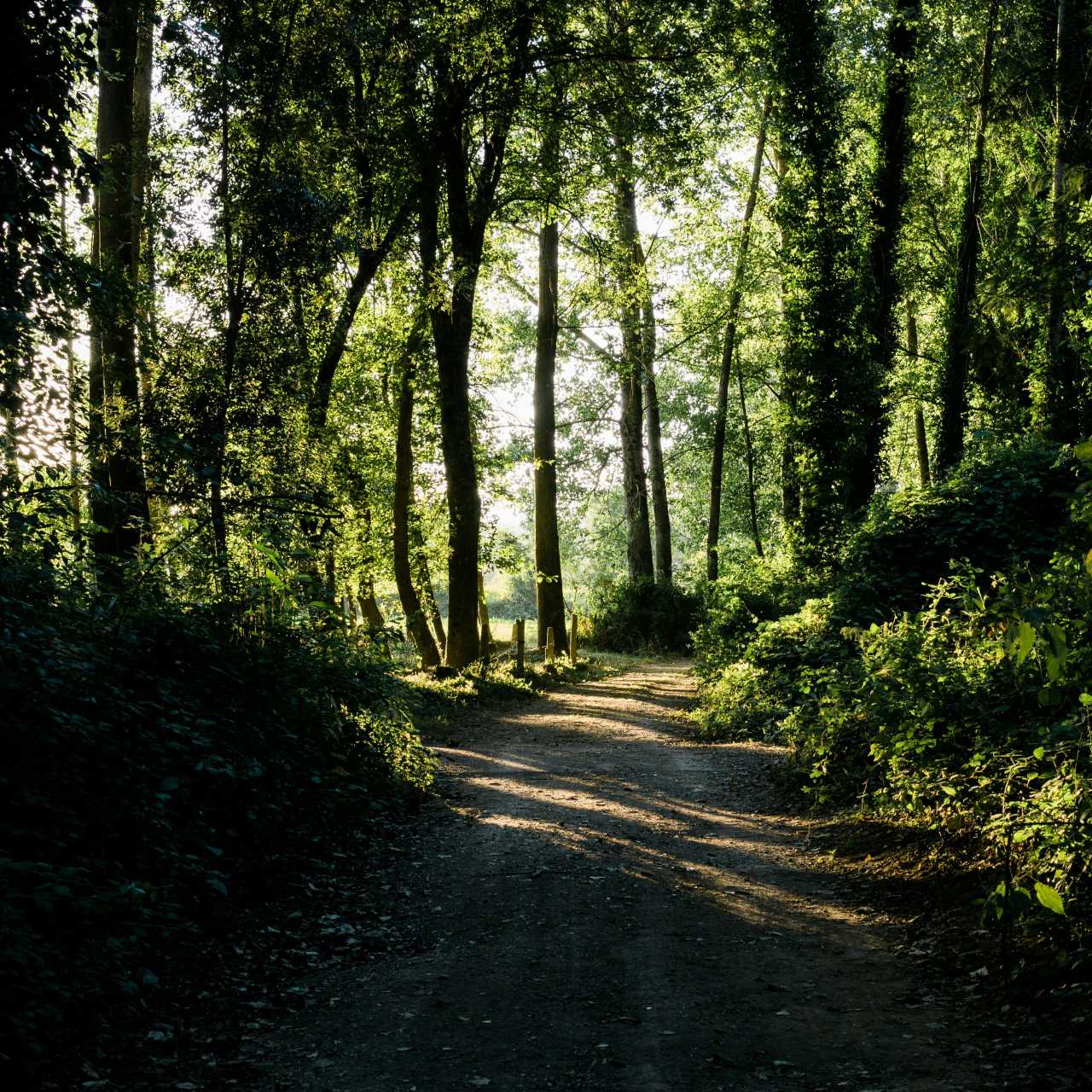 Beleza da Serra do Buçaco